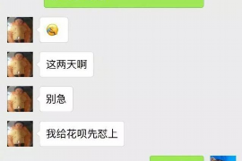 习水融资清欠服务